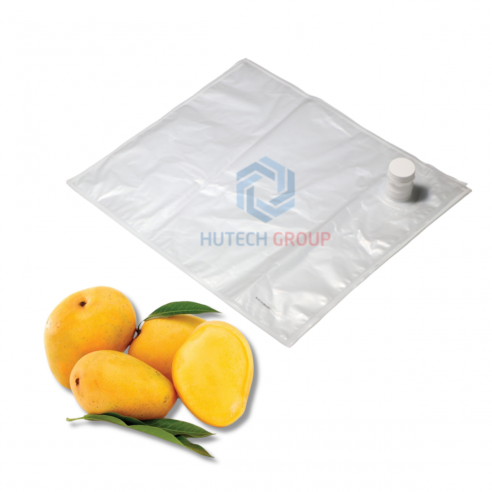 Túi vô trùng Aseptic BIB 20L màng PE trong suốt